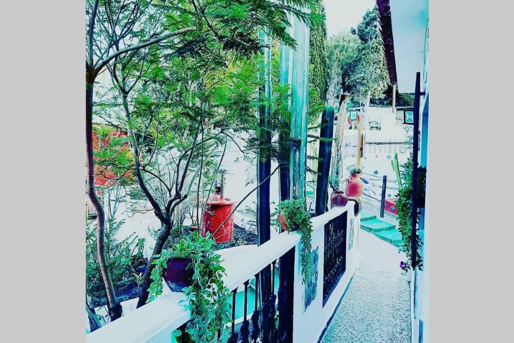 Gran Canaria La Finca De Carmelita Y Bartolito 라스팔마스 외부 사진